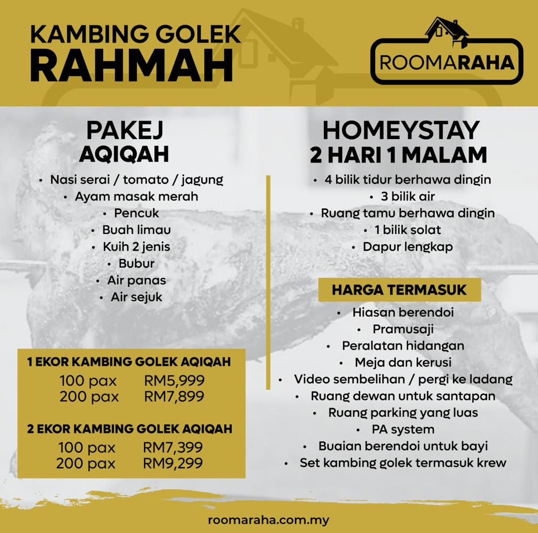 kambing-golek-rahmah-roomaraha
